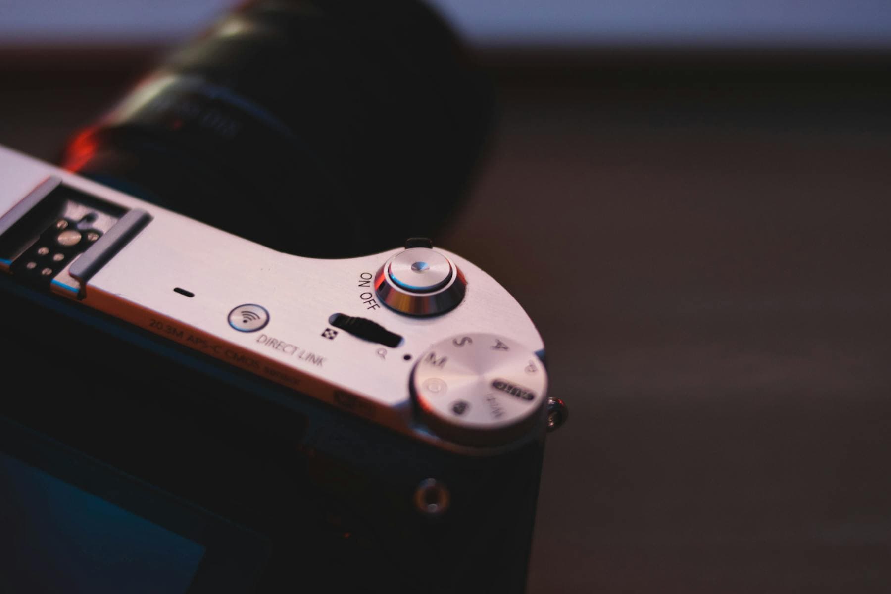 Photographe avec téléobjectif concentré sur sa prise de vue